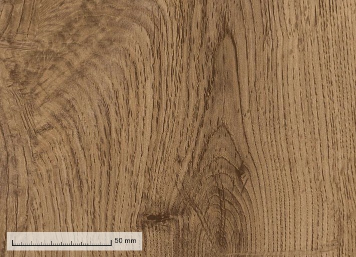 Antwerp 1014 — the plank grain at original resolution, with a millimetre rule