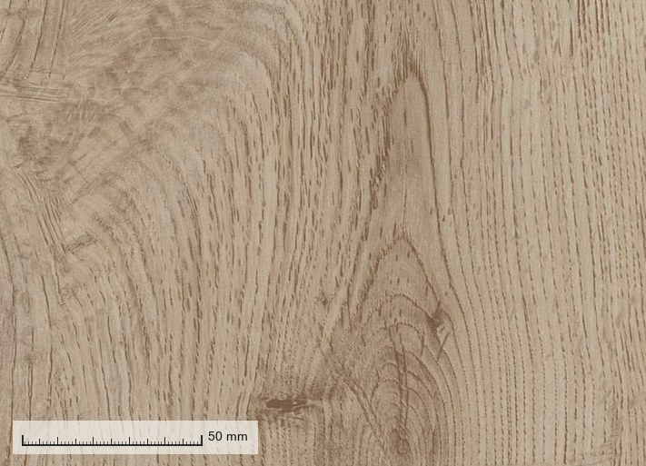 Menton 1018 — the plank grain at original resolution, with a millimetre rule
