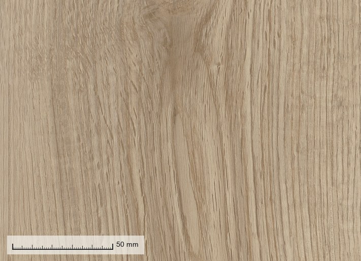 Sitges 1140-09 — the plank grain at original resolution, with a millimetre rule