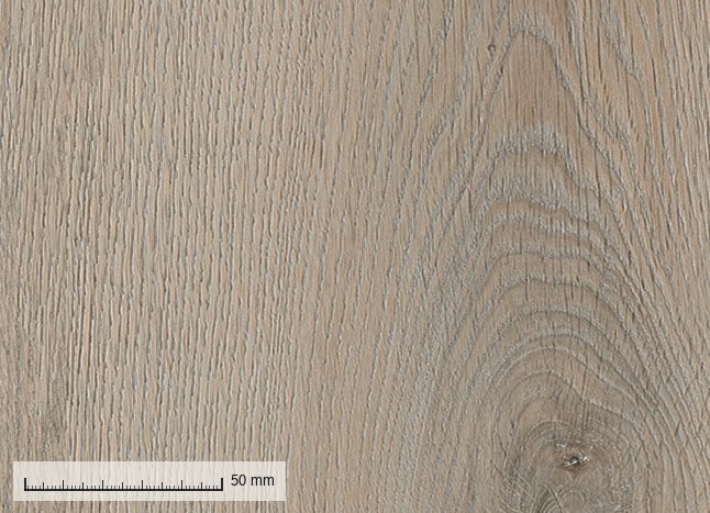 Tulum 1976-003 — the plank grain at original resolution, with a millimetre rule