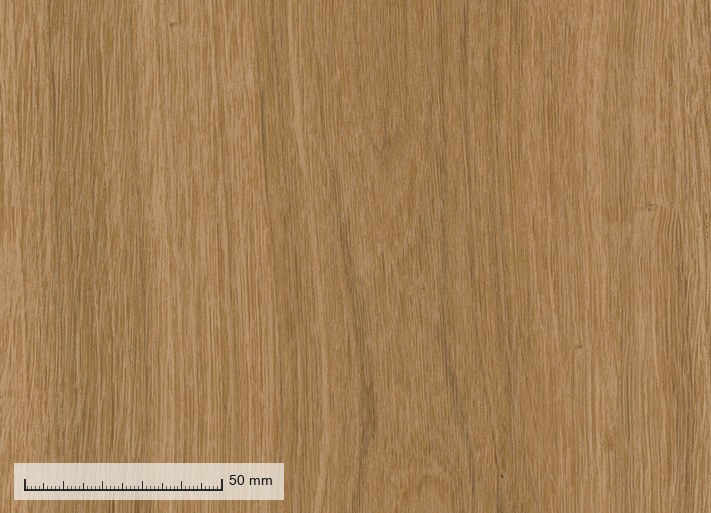 Rio 211 — the plank grain at original resolution, with a millimetre rule