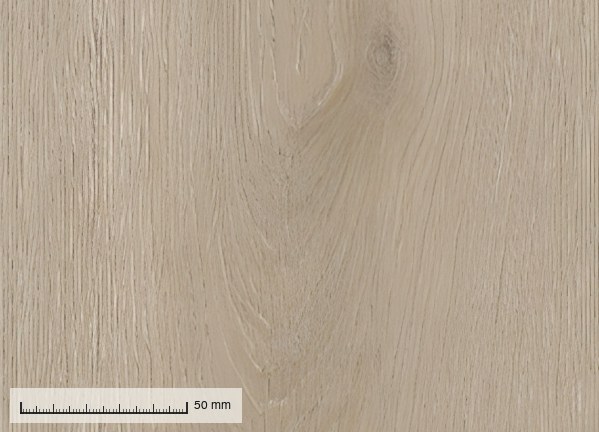 Naxos 2224-C-13 — the plank grain at original resolution, with a millimetre rule