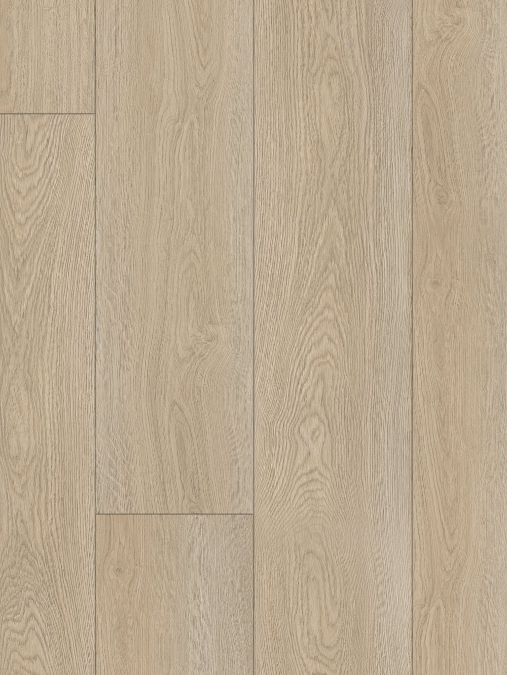 Skagen floor — Northern Denmark