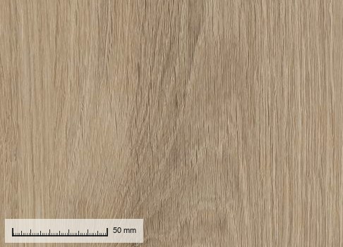 Biarritz 612 — the plank grain at original resolution, with a millimetre rule