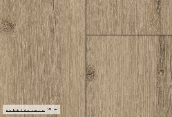 Biarritz 612 — the four-sided micro-bevel at original resolution, with a millimetre rule