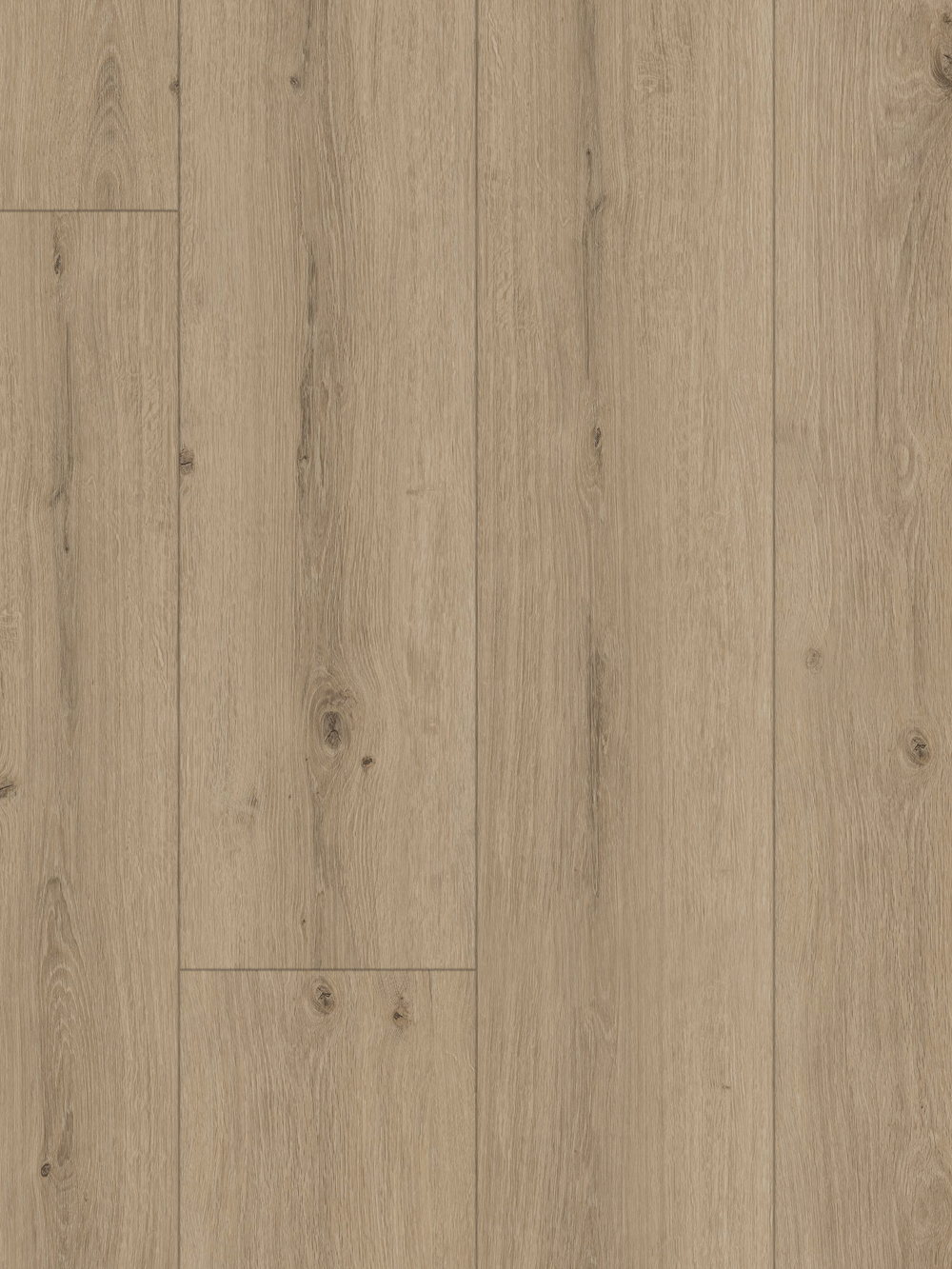 Biarritz floor — Atlantic France