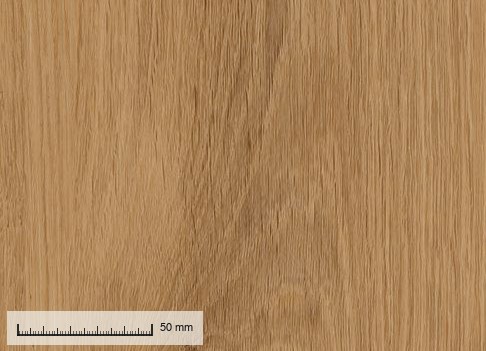 Capri 747 — the plank grain at original resolution, with a millimetre rule